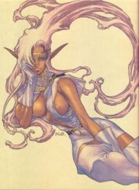 BUY NEW record of lodoss war - 155332 Premium Anime Print Poster